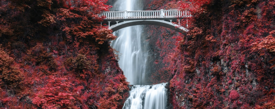 Psychedelia LUTs Pack 标志