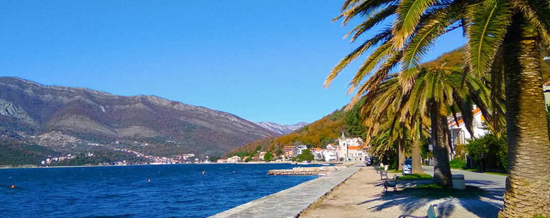 Speedy Grade Pack 标志