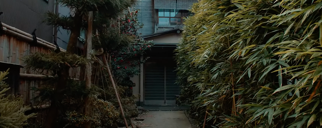 FilmLike Panasonic GH5 LUTs 标志