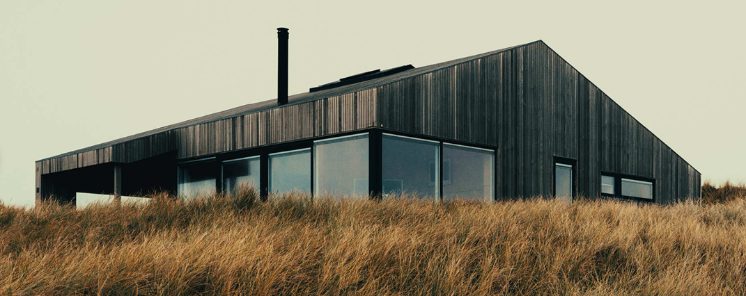 Film Stock, Prints & Movie Inspired LUTs 标志